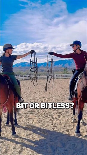 Bit or bitless? How about as least invasive as possible? #horse #horsetraining #bitless