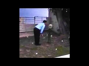 I found an alien in my house.. (HELP)