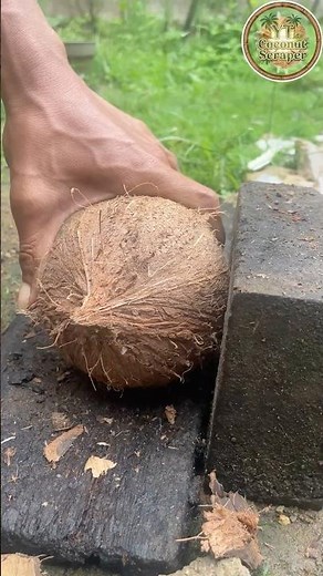 peel old and dry coconut from the shell