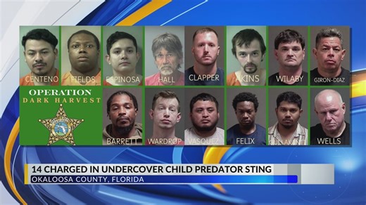 Okaloosa County Sheriff's Office arrests 14 men during child sexual predator operation | WKRG.com