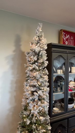 Jodi Davison on TikTok