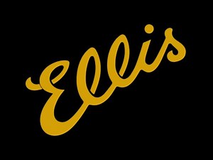 Ellis F-5 Special ∙ The Mandolin Store