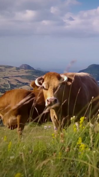 Autogrill Origini Edition: Sapori Italiani DOP IGP