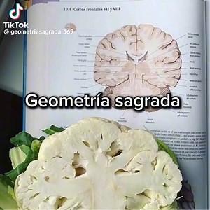 GEOMETRÍA SAGRADA 🫶🏽 | Mistic Solar / YogaLab