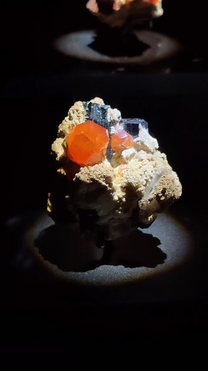 1.5K views · 34 reactions | Houston Museum of Natural Science on Reels | Facebook