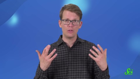 Studying Poop to Save Species