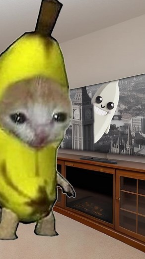 Alien Banana Cat Needs Saving: Who Will Help Him?