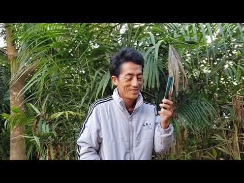 Kwv txhiaj sib lwv nrog nkauj hmoob me ka kuam lauj kab vaj 12 / 16 / 2025