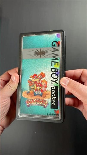 Game Boy Pocket case