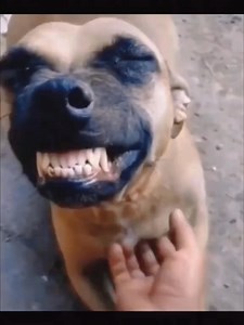 Jose Sanchez Sanchez on Reels