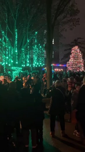 3.9K views · 73 reactions | The tree lighting ceremony ushers in the holiday season at the #GenevaIL Christmas Walk Dec. 1.  #ChristmasWalk #happyholidays #treelighting #holidaylights #christmastree #genevachamber #genevaillinois #CityofGenevaIL | City of Geneva, Municipality | Facebook