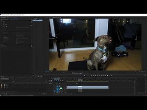 Flicker Free 2.0 Features: Motion Compensation