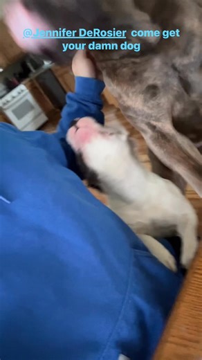 Charles Shaw on Reels