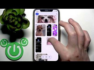 How to Rearrange Photos in Google Photos Album