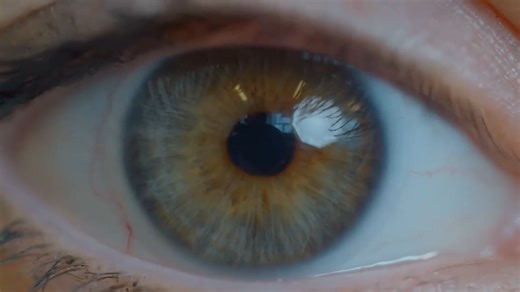 Your brain can still see – even when your eyes can't