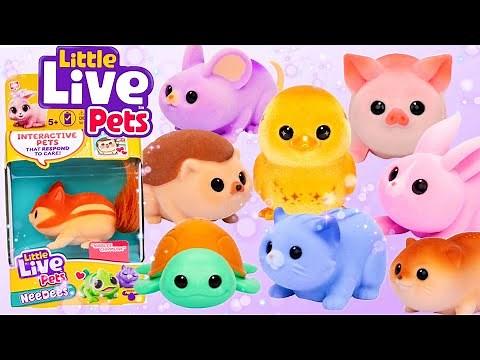 Little Live Pets NeeDees | How To Play & Interact With Super Cute Wearable Electronic Toy Pets