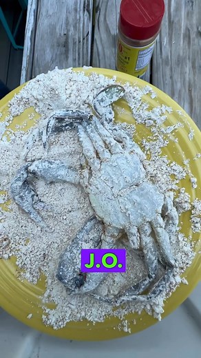 49K views · 16 reactions | How to cook a soft shell crab #chesapeakebay #softshellcrab #seafood #bluecrab @jospicecompanyofficial | By the Water | Facebook