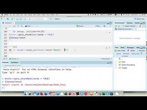 R Project and Here Package