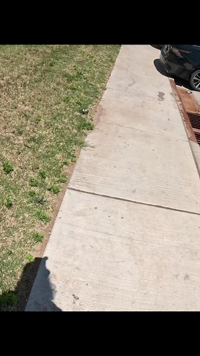 Dude eff that 😄 🤣 gotta have it!! 💪 #love #work #mobile #mechanic #letsgo #fyp #fypage