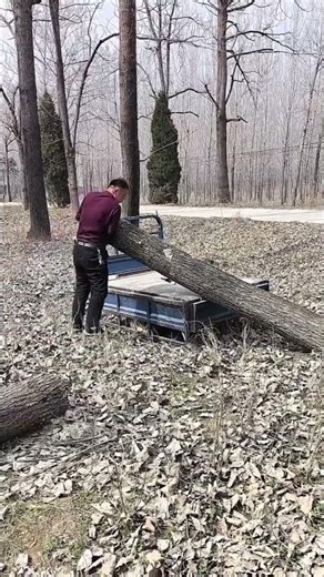 one guy loading a log