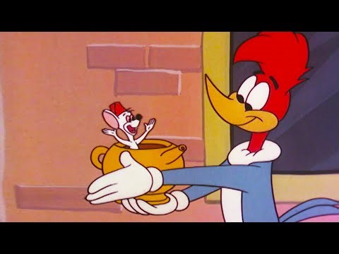 Woody Buys a Magic Lamp! | Woody Woodpecker