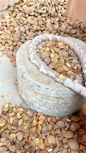 WHY IS THIS SO SMART 🤯 Almond Shell Hack You NEED