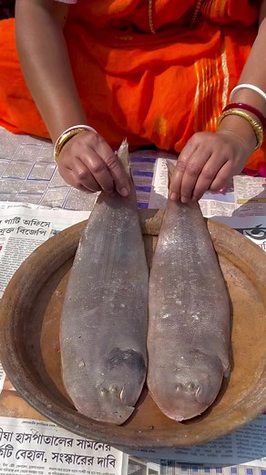 Delicious Dover Sole Fish Recipe | Bengali Food Vlog