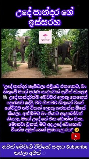 උදේ පාන්දර නැගිටිනකොට යාළුවෙක් ඇවිත්