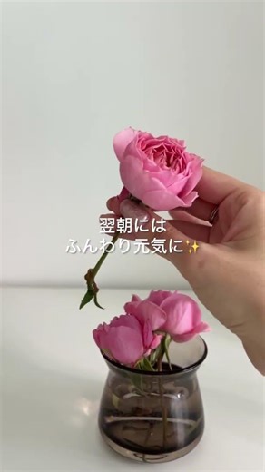 萎れてしまっても諦めないで！あえて短めにカットしてみよう✂️ #お花屋さん