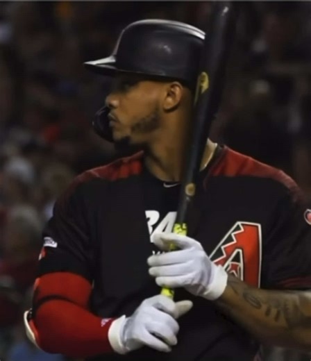 Addressing Fan Behavior in Sports: A Closer Look