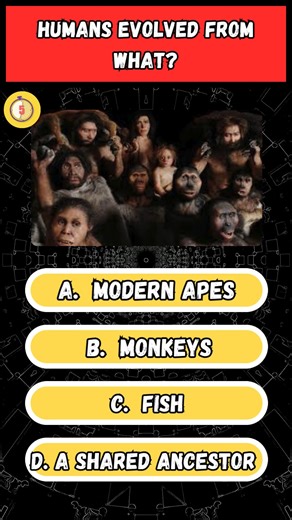 👇 Comment your answer! . . . . . . . . . . . . . #fyp#theknowledgezone #dailyquiz #generalknowledge #funfacts #IQTest #braintest #QuizOfTheDay #LearnSomethingNew #smartpeople | The Knowledge Zone