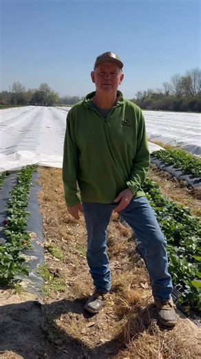 Terrell County Chamber of Commerce on Reels