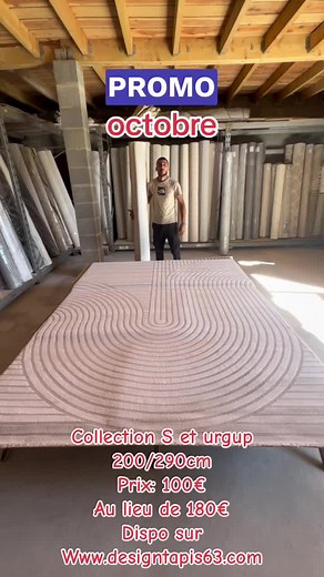 Promo Spéciale sur Tapis Modernes à Paris