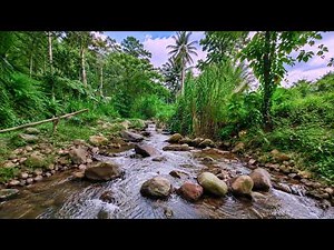 Peaceful Creek Sounds for Deep Relaxation - Water Sounds and Rocky Stream for Stress Relief