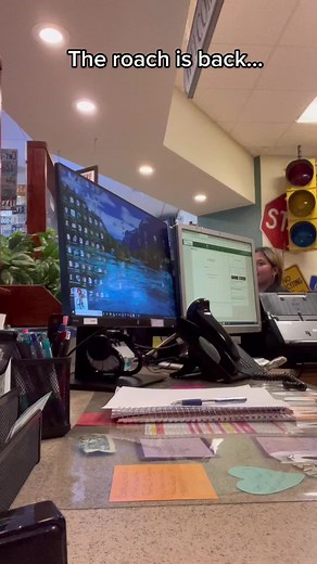 #roachprank #theoffice #fyp #anotherdayattheoffice #prankwars #officeprankwars #pranksters #scream #roach #afraidofbugs #officeshenanagins #gotinsurance #needinsurance