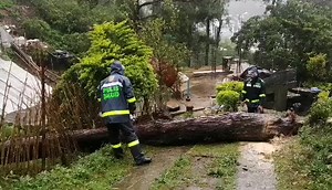 1.9K views · 104 reactions | Road Clearing Operation | Baguio City Police Office | Facebook