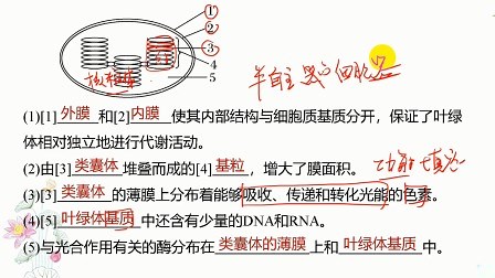 id_XNDUxNjAyMzY2NA==.html