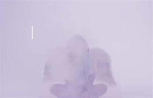 POSSESSION- Melanie Martinez bu şarkıyı seviyorum. #song #lycris #pyp #fyp #melaniemartinez