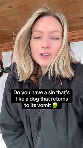 The Wisdom of Proverbs 26:11-12