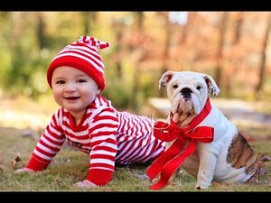 Bébés mignons et Carlin Chiens La compilation Avril 2015 [NOUVEAU HD VIDEO]