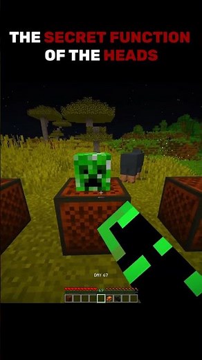 SECRET MINECRAFT HEAD FUNCTIONS YOU DIDN'T KNOW ABOUT!