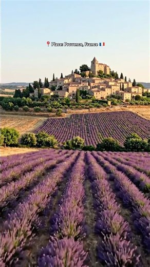 Provence, France 🇫🇷✨ | Lavender Fields & Charming Villages #travel #shorts