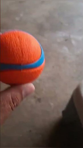 The Chuckit! Ultra Ball is built for power chewers and endless play 🐶