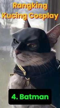 rangking kucing lucu jadi cosplayer #cat #kucing #funny #ranked