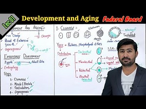 Development and Aging | Embryonic Development | Types of cleavages, Faderal board biology class 12
