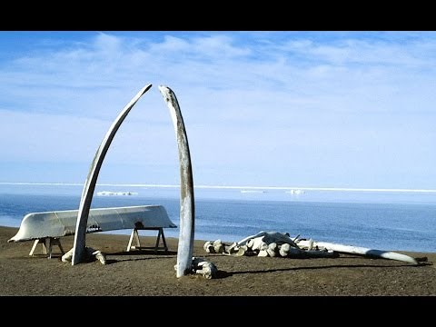 My Day in Barrow, Alaska