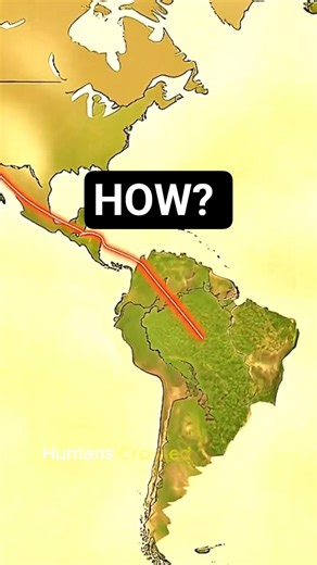 They Didn't Walk: The Amazon Anomaly