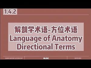 【中英双语国际课-人体解剖生理学】解剖学术语之常用方位术语 | Language of Anatomy: Directional Terms
