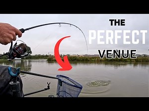 A FISH EVERY CAST at this ULTIMATE FISHERY!!!!