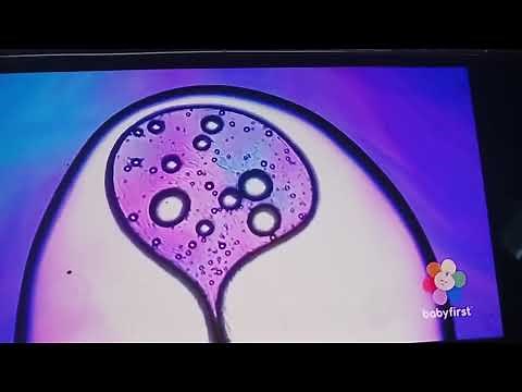 BabyFirst Color Symphony 8